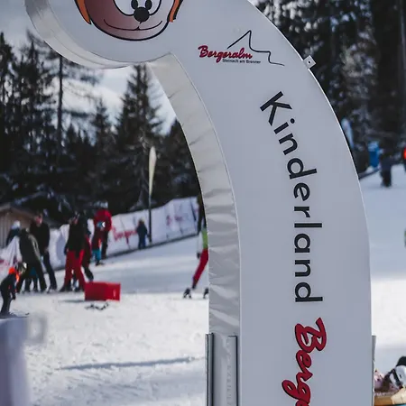 Alpin Am Dorfbrunnen Junior Apartment *