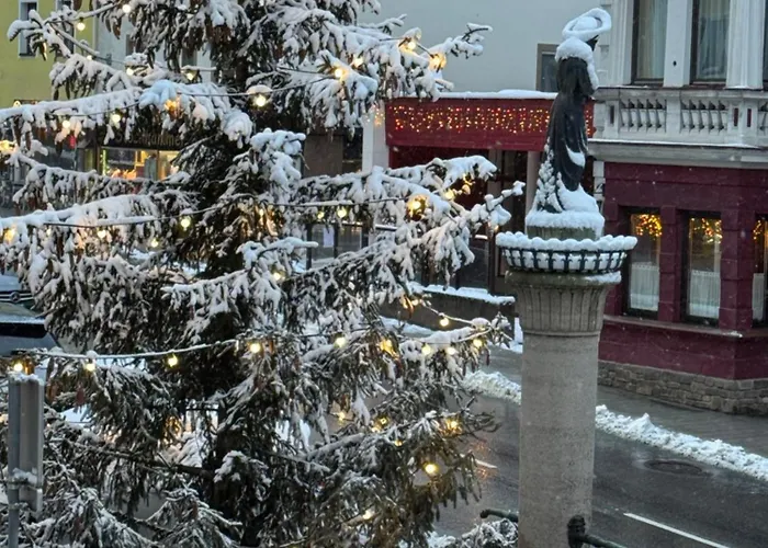 Apartament Alpin Am Dorfbrunnen Junior Steinach am Brenner